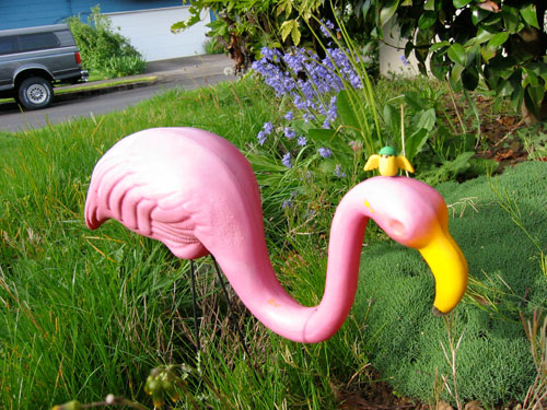 Canary Clay converses with his new friend, Rhonda the Flamingo.