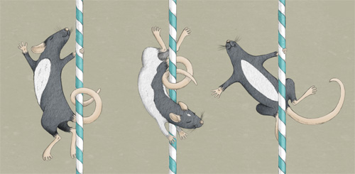 free wallpaper sample: pole dancing rats