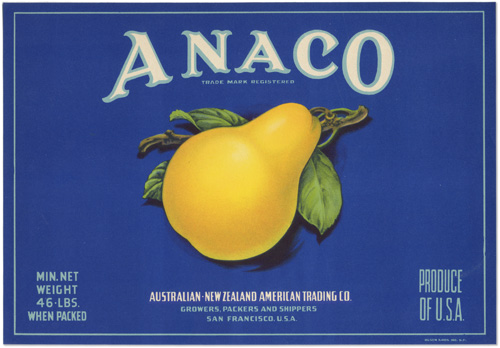 Anaco pear card, vintage split-serif type with a single glowing yellow pear.