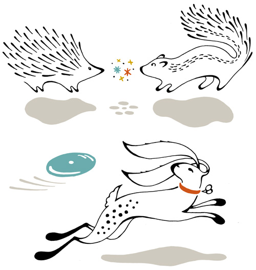 Pen and ink hand drawn animals. A porcupine and skunk meet and sparks fly. A leaping fetching bunny rabbit chases after a frisbee.