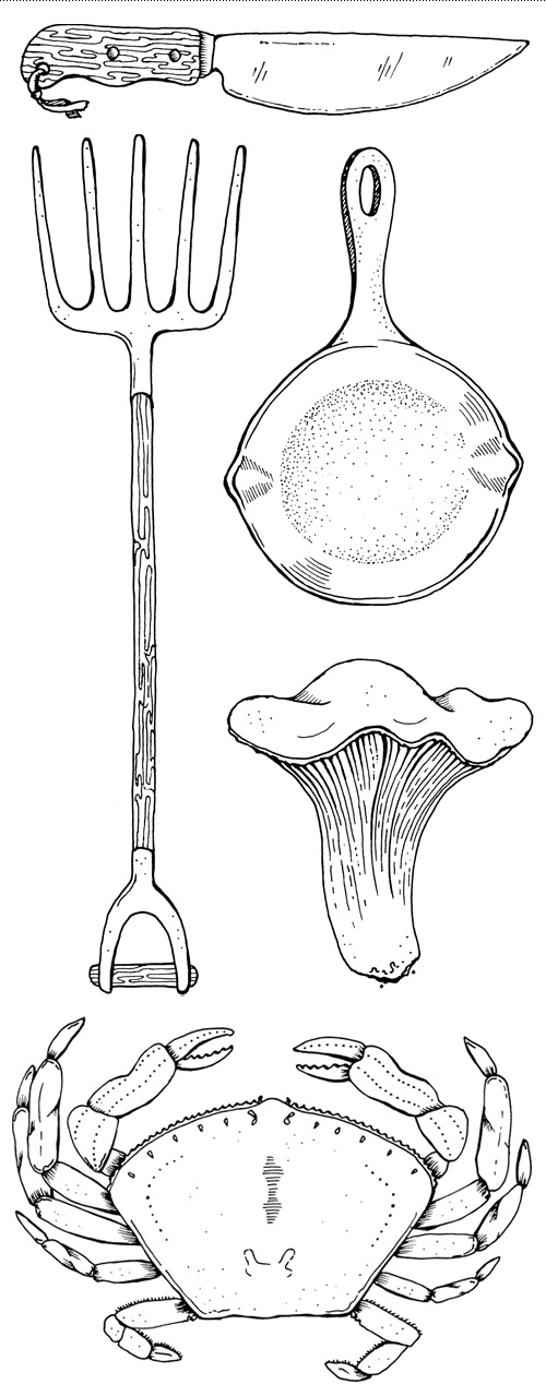 The Flavor Profiles illustrations.