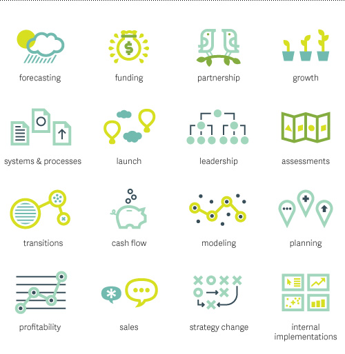 business icons for forecasting, funding, partnership, growth, documentation, launch, leadership, planning, transitions, cash flow, modeling, profitability, sales, strategy change, and internal implementations.