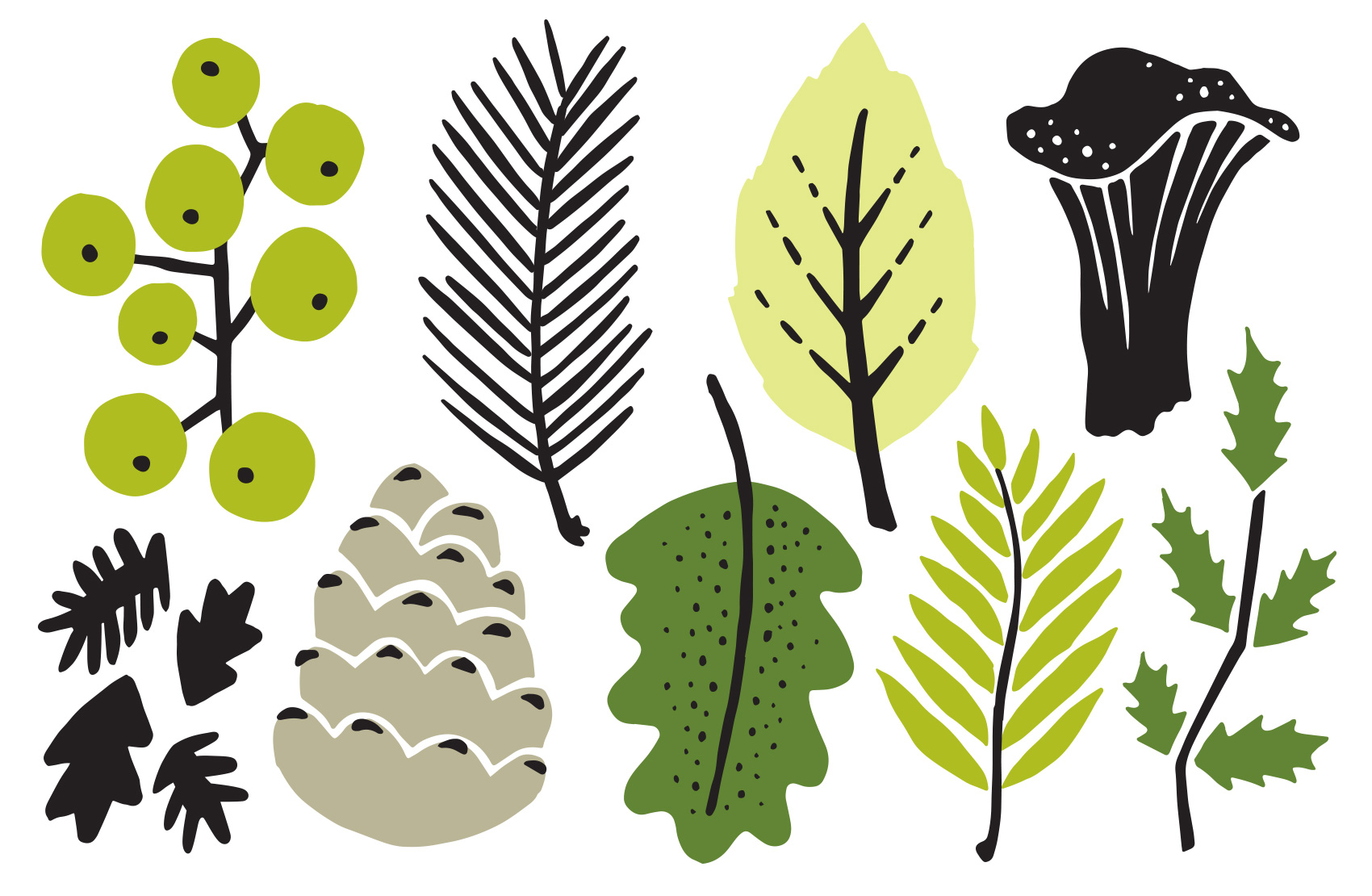 assortment of northwest inspired leaves and foliage