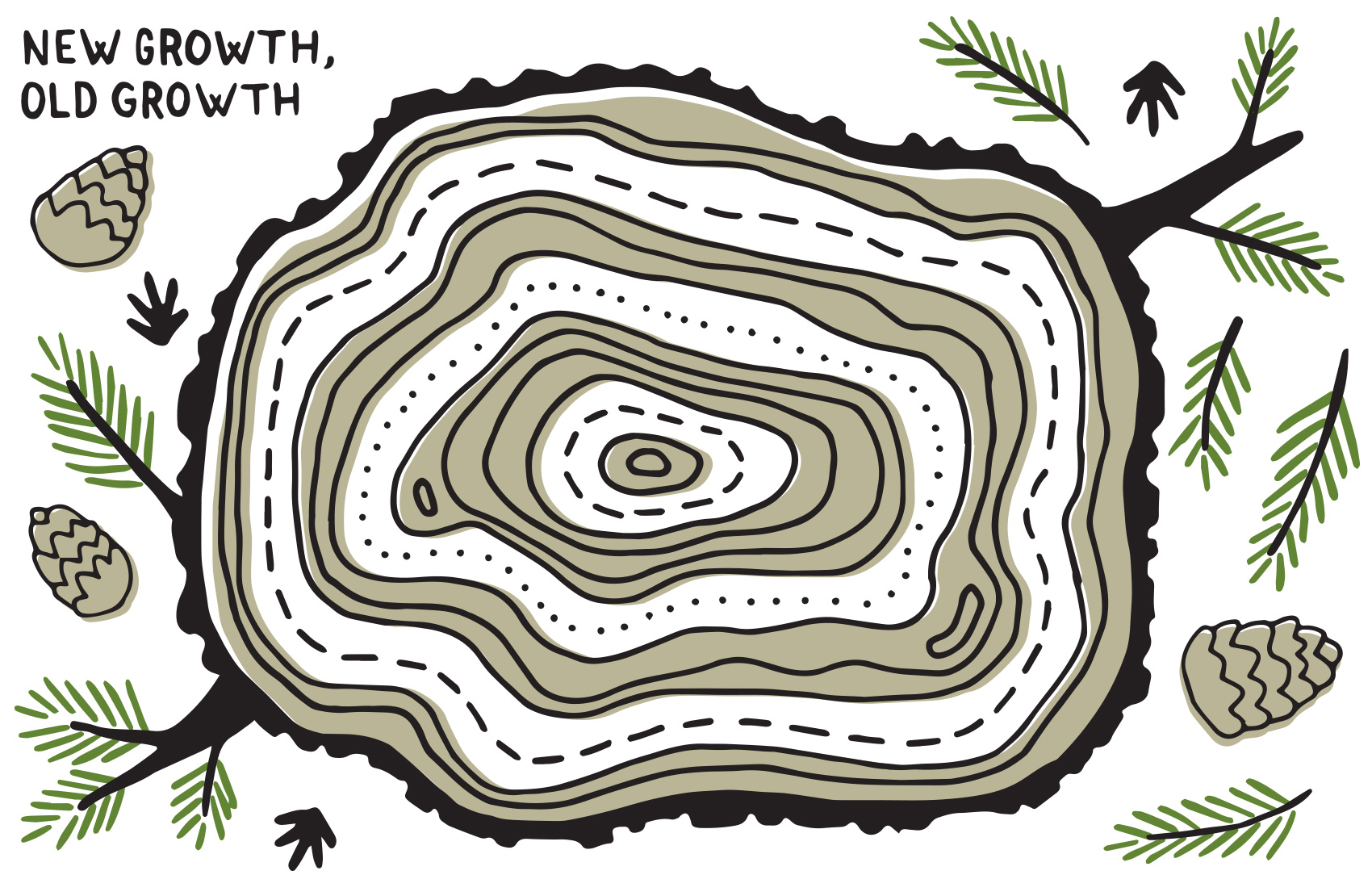 old growth, new growth: illustration of tree rings and topography