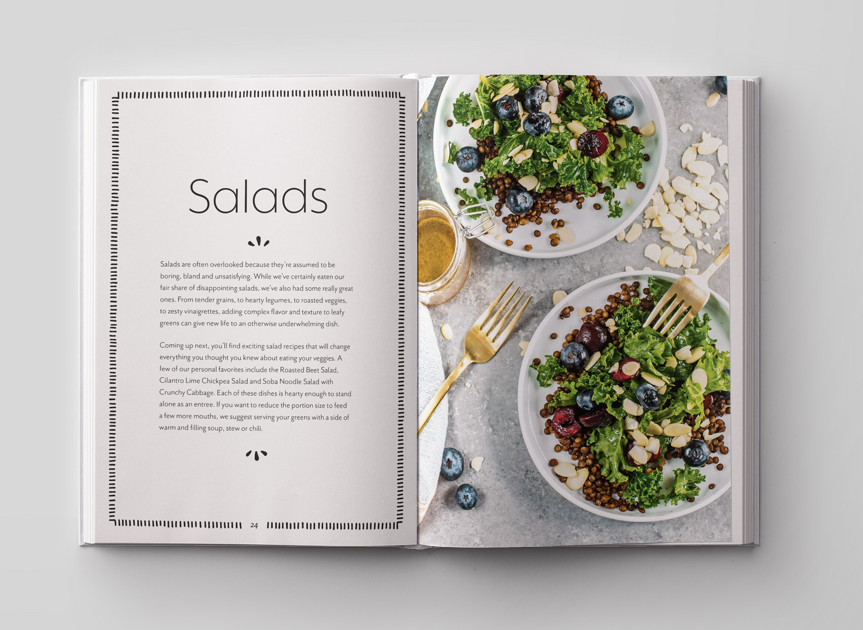 frugal vegan cookbook salad introduction page for healthy vegan recipes